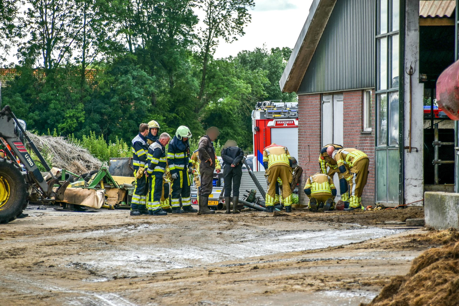 Brandweer redt koe uit mestput Offingawier