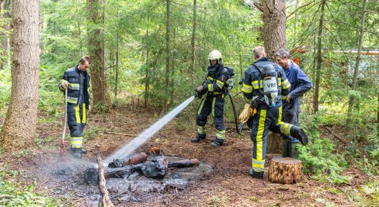 Brandweer rukt uit voor brandstichting in bos bij Oudeschoot