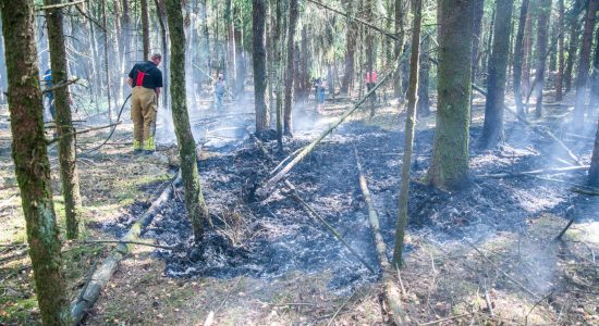 Brandweerman ontdekt bosbrand in Appelscha