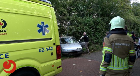 Vrouw belandt met auto in de bosschages in Dokkum
