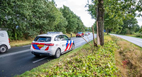 Auto botst op boom naast N369 Boelenslaan