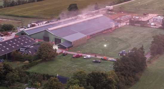 Jongvee gered bij brand in stal Surhuizum