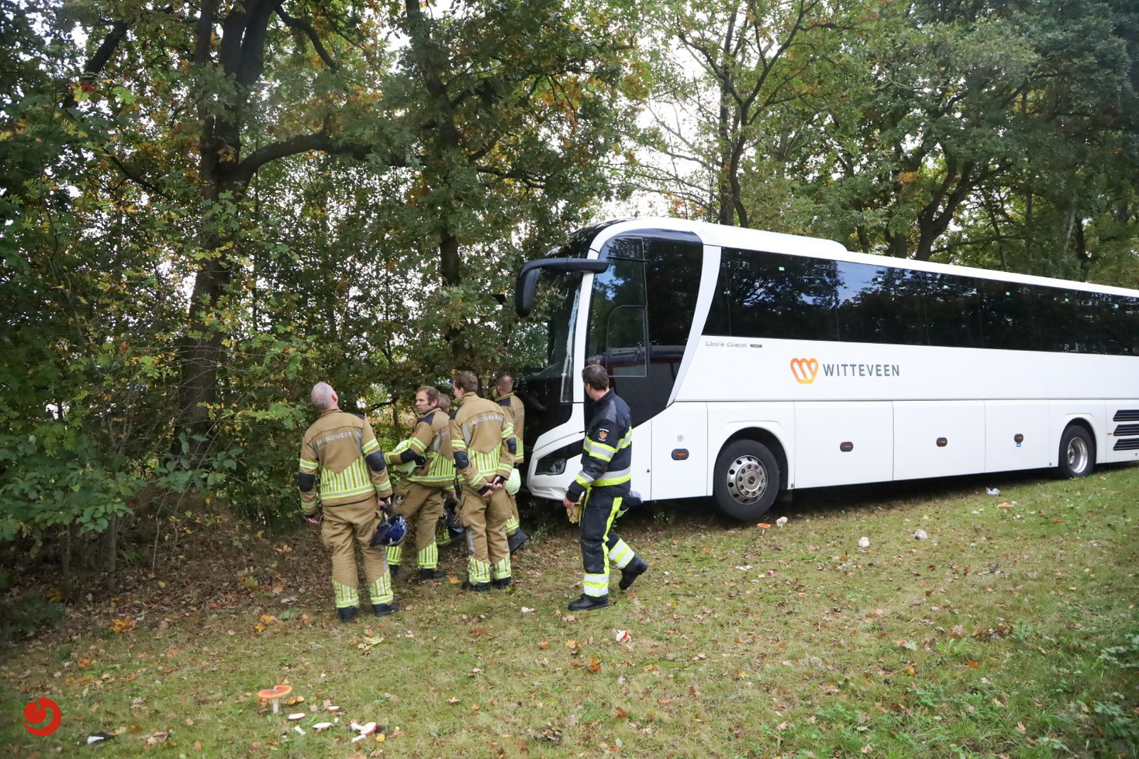 Touringcar botst tegen boom in Drachten