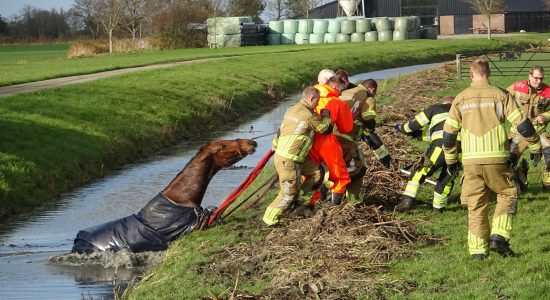 Brandweer redt paard uit slootje in Sibrandahus