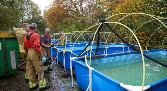 Brandweer Ureterp helpt bij opvang olieslachtoffers vogels in Fûgelhelling
