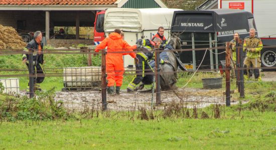Brandweer helpt paard overeind in paddock Nijland