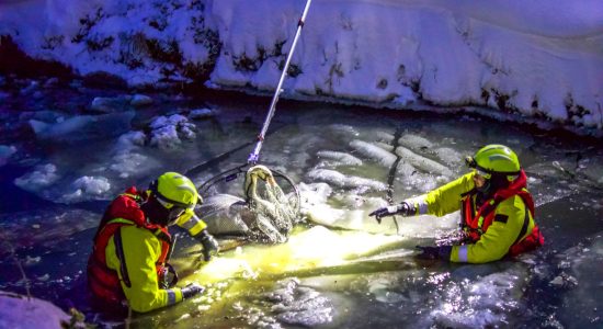 Zwaan vast in ijs in Tersoal