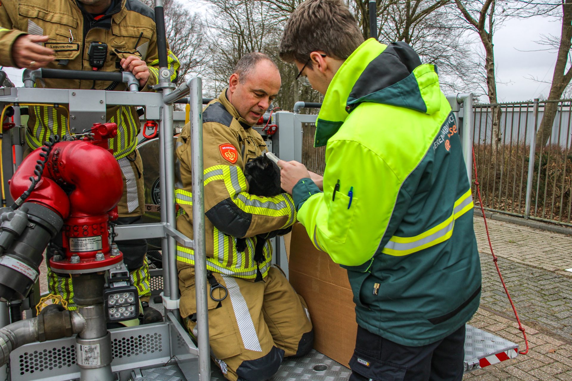 Brandweer redt kat uit de boom in Leeuwarden