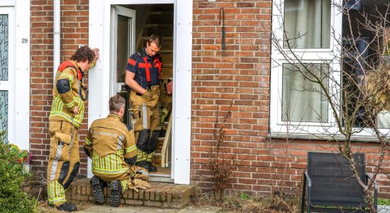 Kat in spouwmuur van woning Heerenveen
