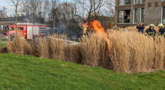 Riet in brand in Heerenveen: vermoedelijk brandstichting