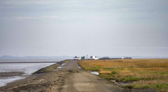 Overleden persoon aangetroffen nabij zeedijk bij Peazens